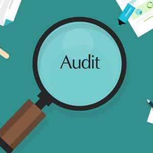 audit financial company tax investigation process business accounting vector